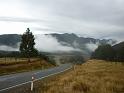 New_Zealand (517)